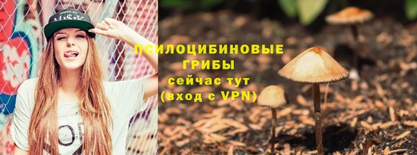 твердый Приозерск