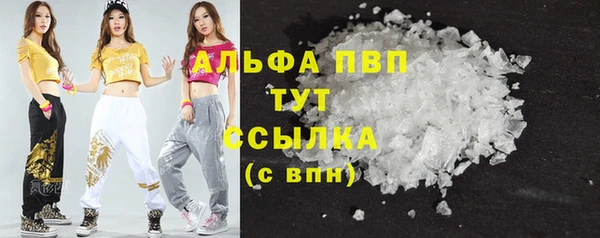 стаф Абаза