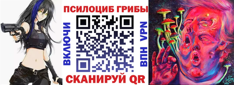 Галлюциногенные грибы Cubensis  Нефтегорск 